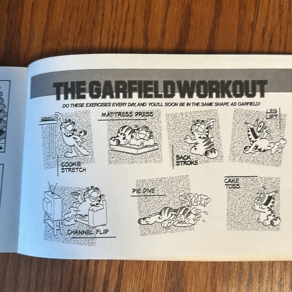 Garfield Rounds Out, His 16th Book - Picture 8 of 8